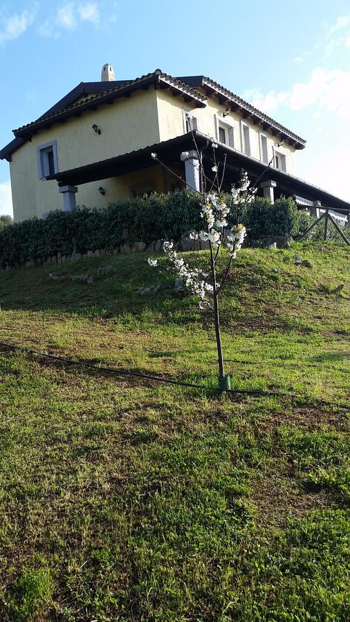 B&B Sa Soliana Telti Kültér fotó